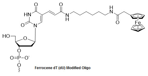 Bio-Synthesis Inc. Oligo Structure